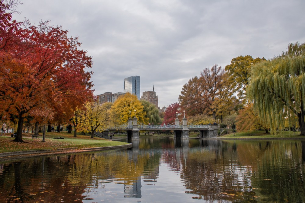 Trees with red and gold leaves reflected in still water at the Boston Public Garden