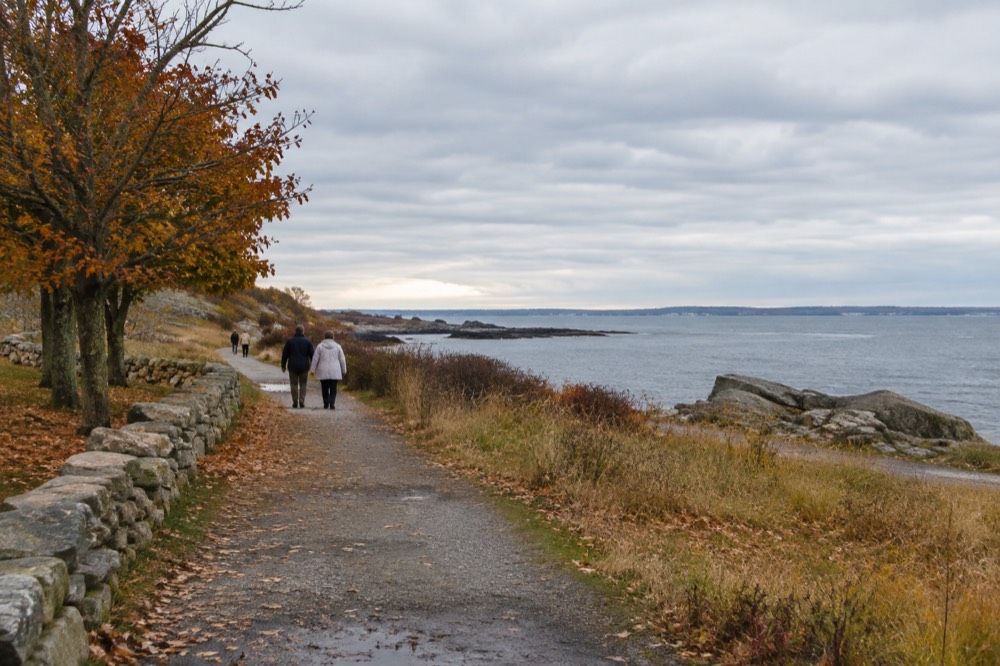 Autumn light over a coastal walking path with golden grass and distant water