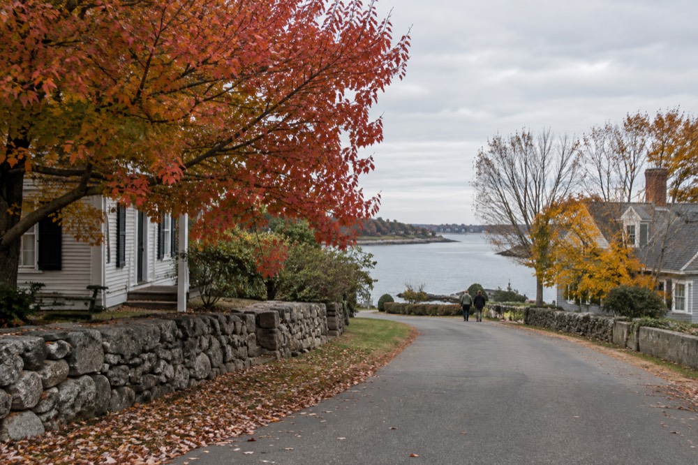 Autumn foliage colors along a New England road with stone walls