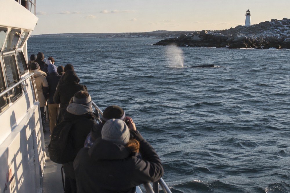 A whale watching boat with passengers along the rail near a rocky shoreline