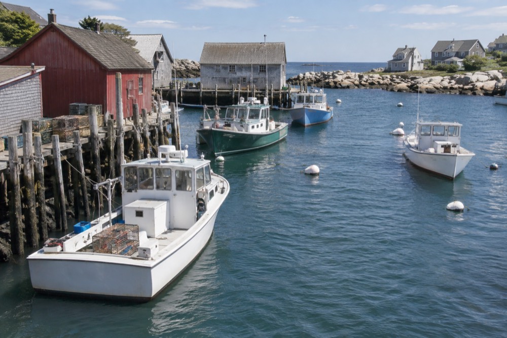Fishing boats moored in a small New England harbor with weathered wooden buildings along the shore