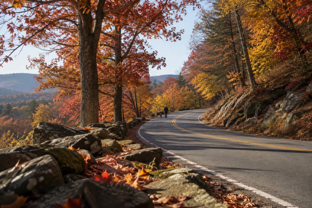 A winding country road lined with red and orange maple trees in autumn
