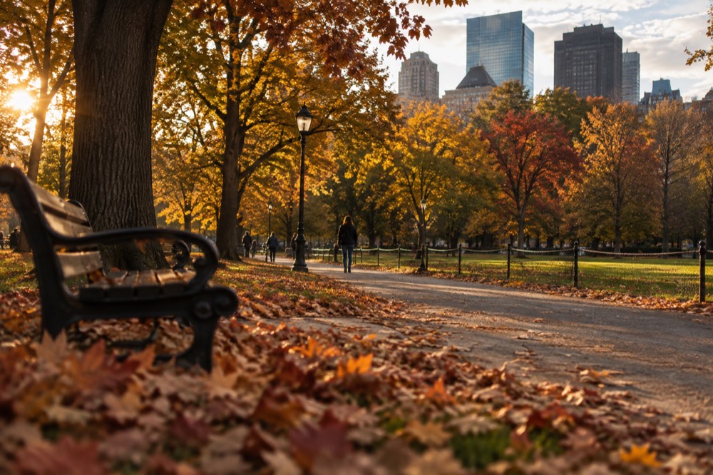 Autumn leaves along a tree-lined Boston street in October