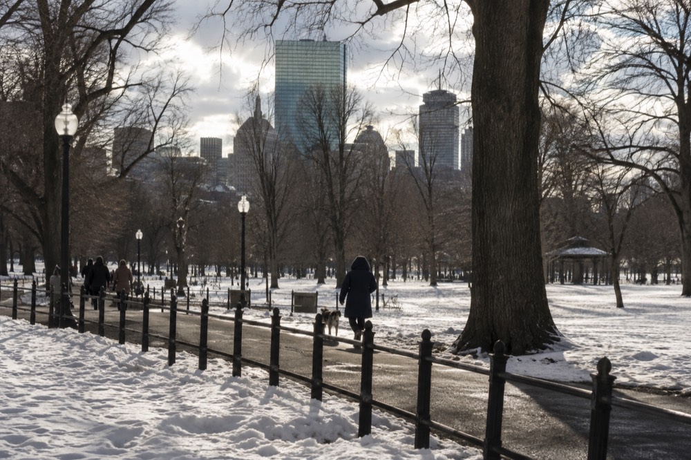 A quiet Boston street with snow piled along the sidewalks in winter