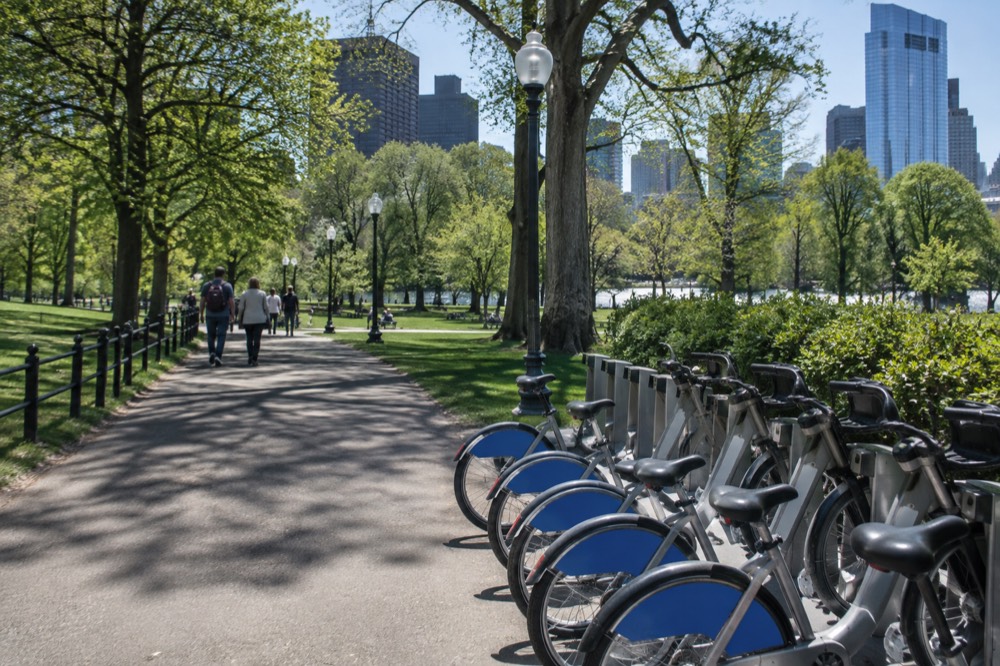A row of share bikes docked at a station beside a park path