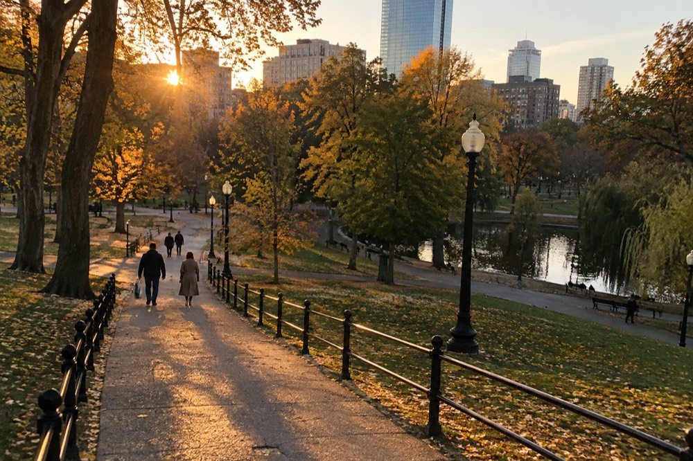 A couple studying a map on a bench in a city park with tall buildings behind