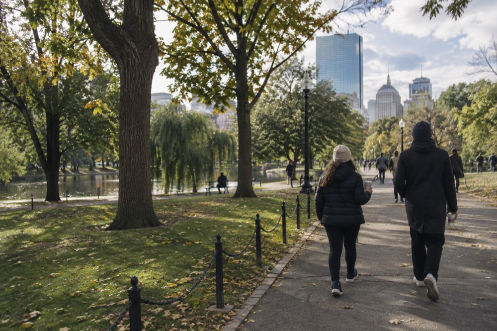 Two people walking with coffee cups along a tree-lined Boston sidewalk