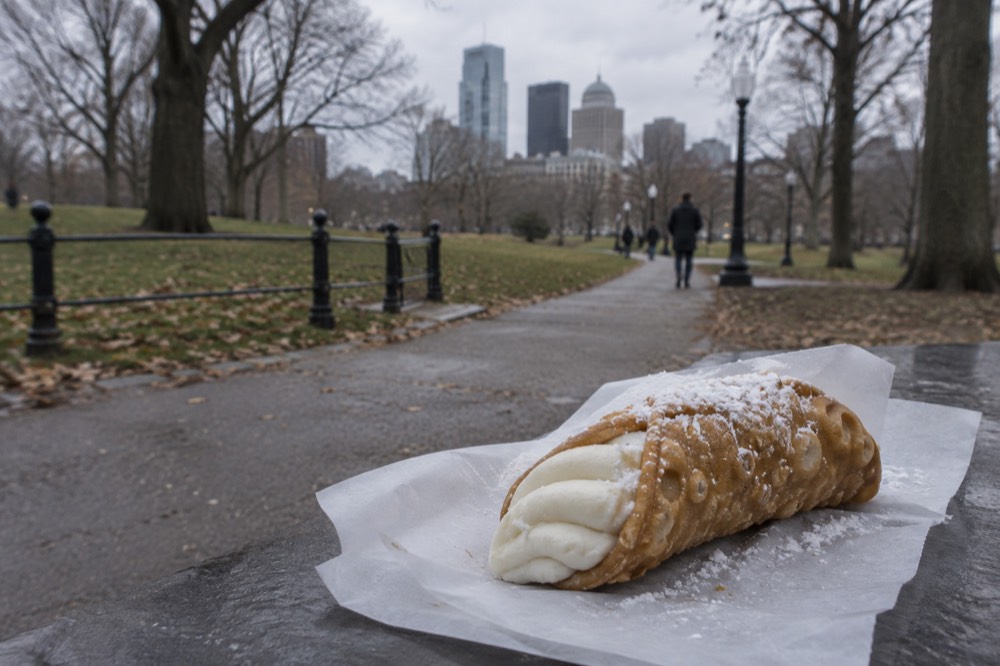 A cannoli filled with ricotta cream and dusted with powdered sugar on a bakery counter