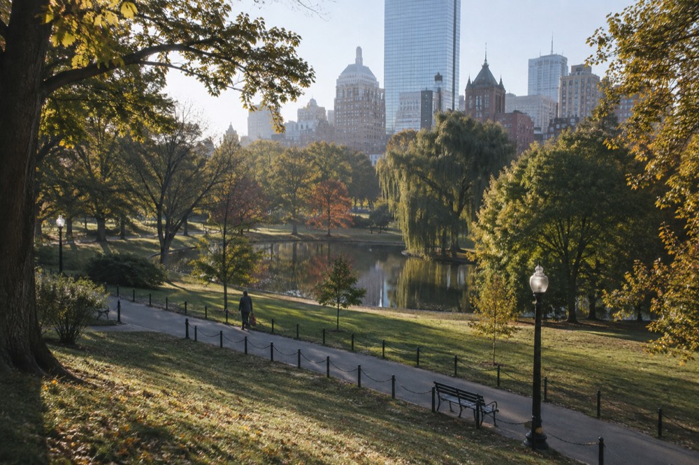 A quiet tree-lined Boston side street with brick row houses in soft morning light