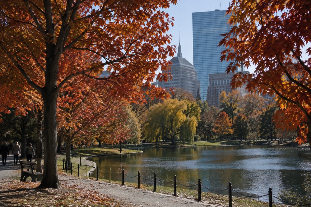 Trees with red and orange fall leaves along a pond path in a Boston park