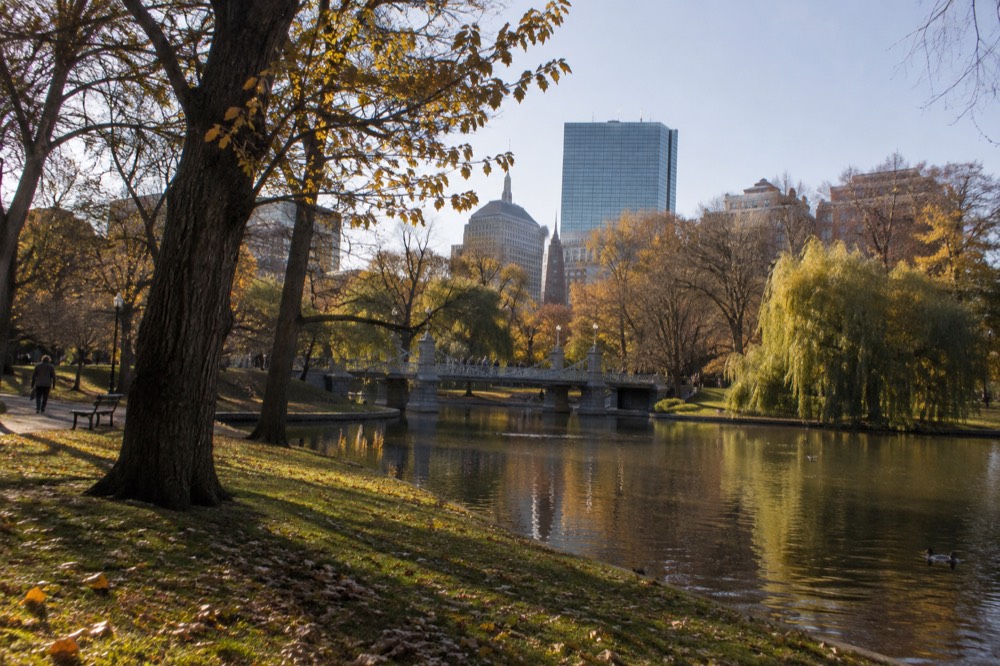 Golden afternoon light on the Boston Public Garden with trees turning yellow