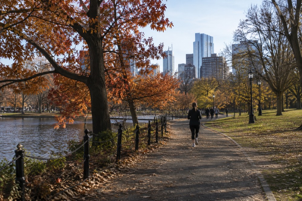 Red and orange maple trees along a riverbank in New England on a clear fall day