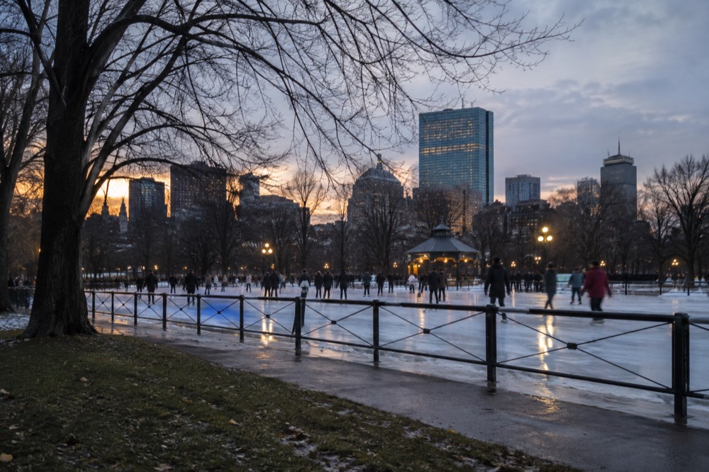 Ice skaters on an outdoor rink surrounded by bare winter trees and city buildings at dusk