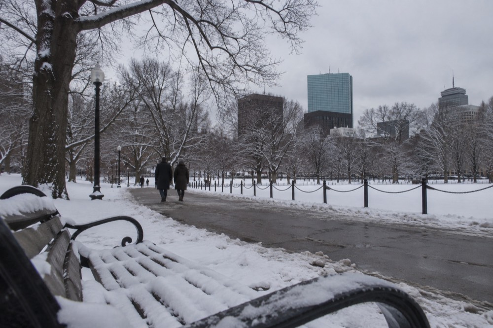 Snow-covered Boston Common with bare trees and city buildings behind it