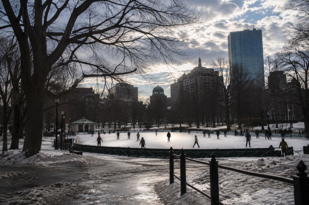 Ice skaters on an outdoor rink surrounded by winter trees and buildings