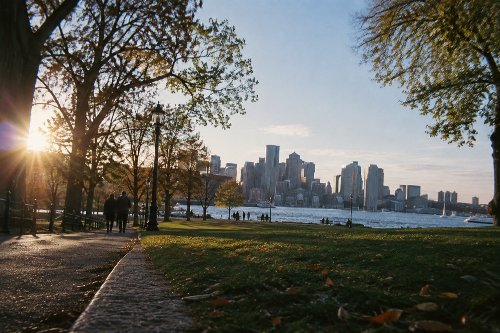 The Boston skyline seen from across the harbor in late afternoon light