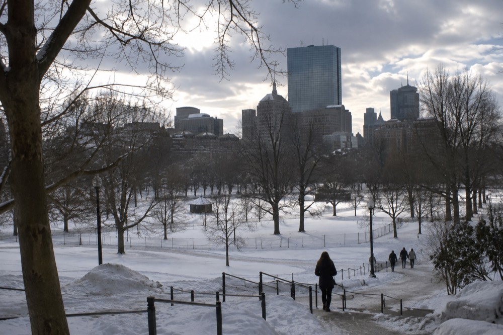 Snow covering the Boston Common in winter with the skyline beyond the trees