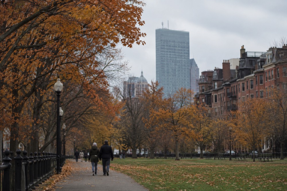 Trees with orange fall leaves along a Boston street with brick row houses