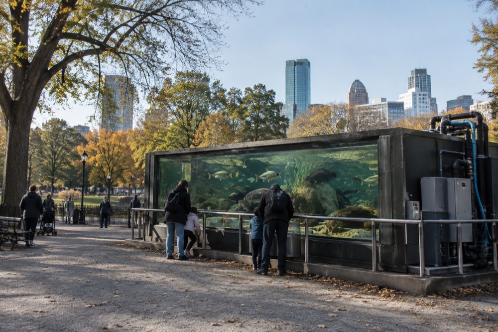 A family looking at a large glass aquarium tank full of fish