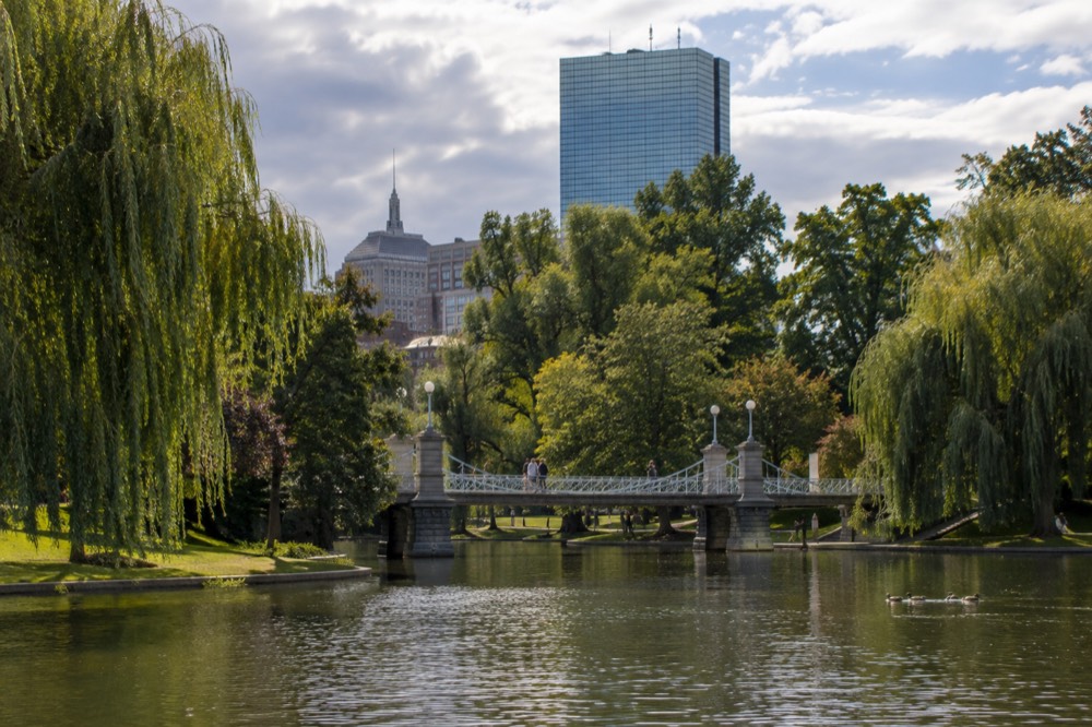 The lagoon and bridge in the Boston Public Garden with trees along the shore
