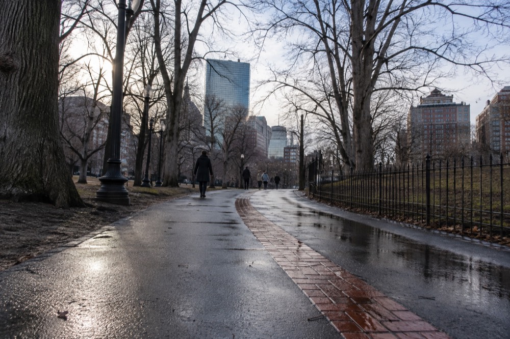 A wet red brick line marking a walking trail on a rain-darkened Boston sidewalk