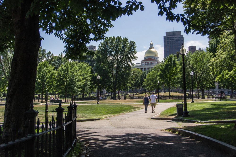 The gilded dome of the Massachusetts State House seen across Boston Common