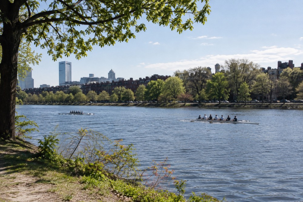 Rowers on the Charles River with Back Bay brownstones along the bank